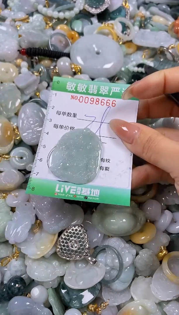 【闪购商品】翡翠颈饰未镶嵌闪购0098666