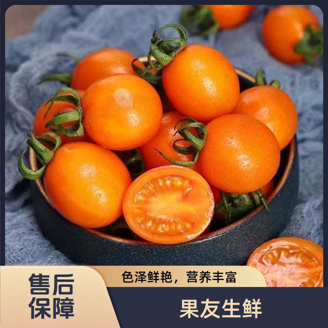 【爆浆黄金圣女果】净果2斤/1份 透明盒装 太原晋中吕梁忻州可拍