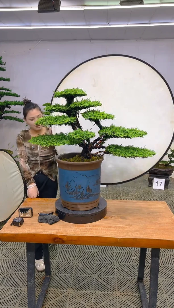 无花朵一物一拍一物一拍