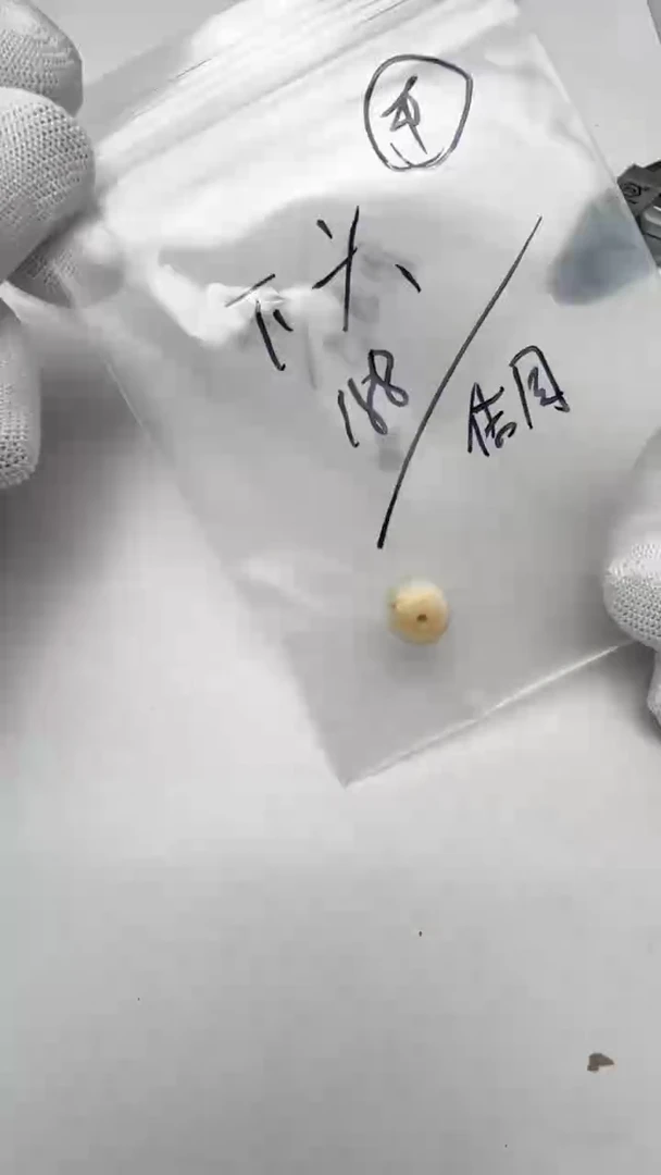 吊坠菩提根/象牙果帅*头文玩文玩