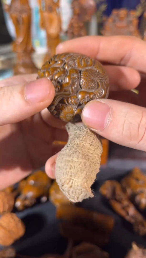 黄杨木11111111111111