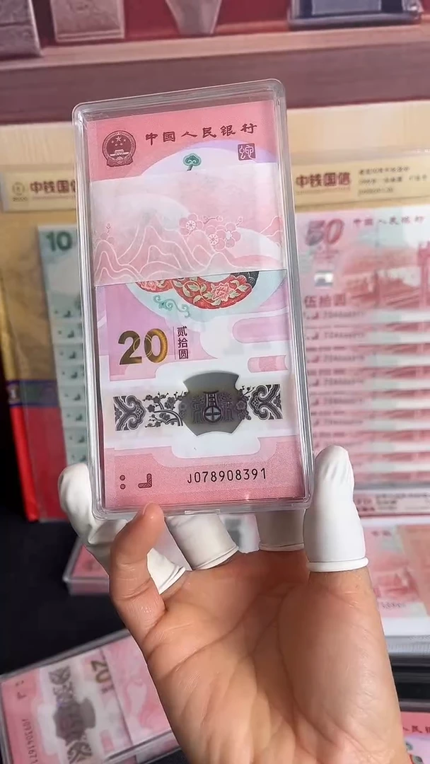 塑料2025年蛇年生肖纪念钞全新百连一刀