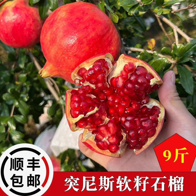 突尼斯软籽石榴云南产地纯甜石榴不吐籽9斤现摘新鲜水果顺丰包邮