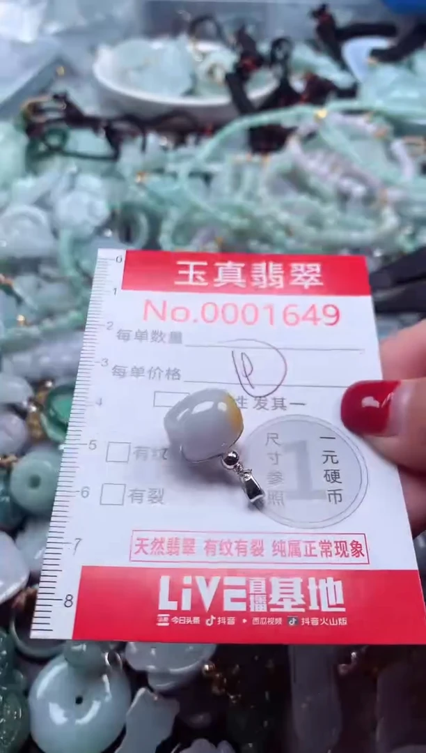 颈饰未镶嵌翡翠1649