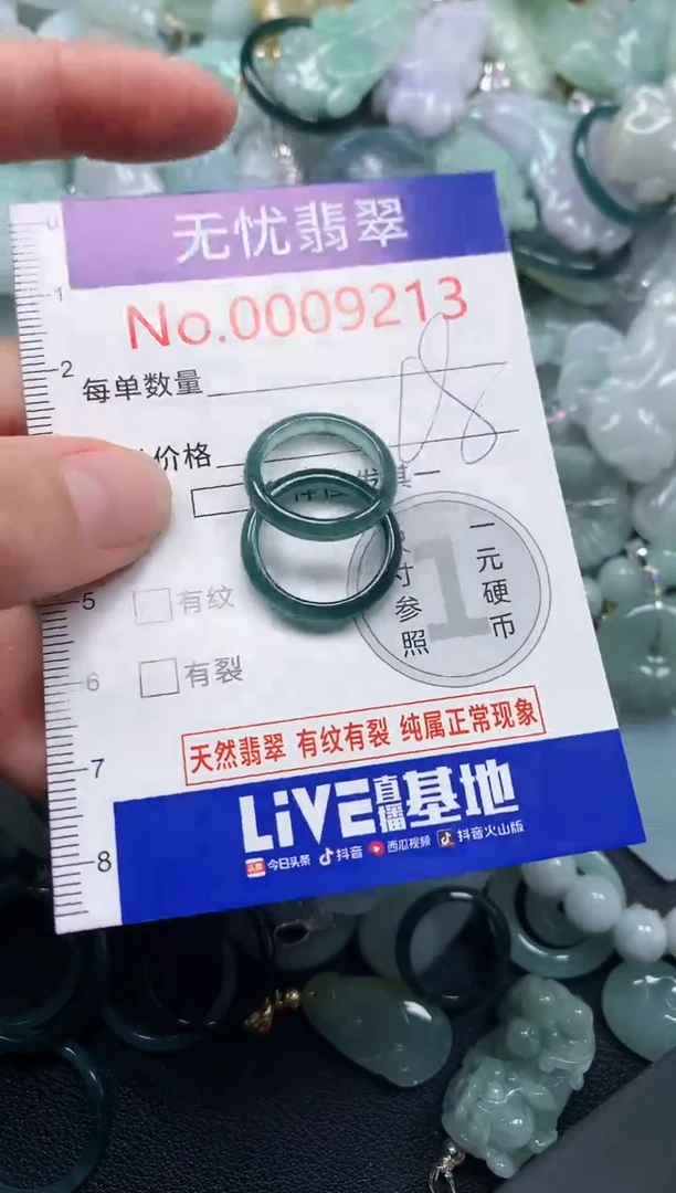 颈饰未镶嵌翡翠9213