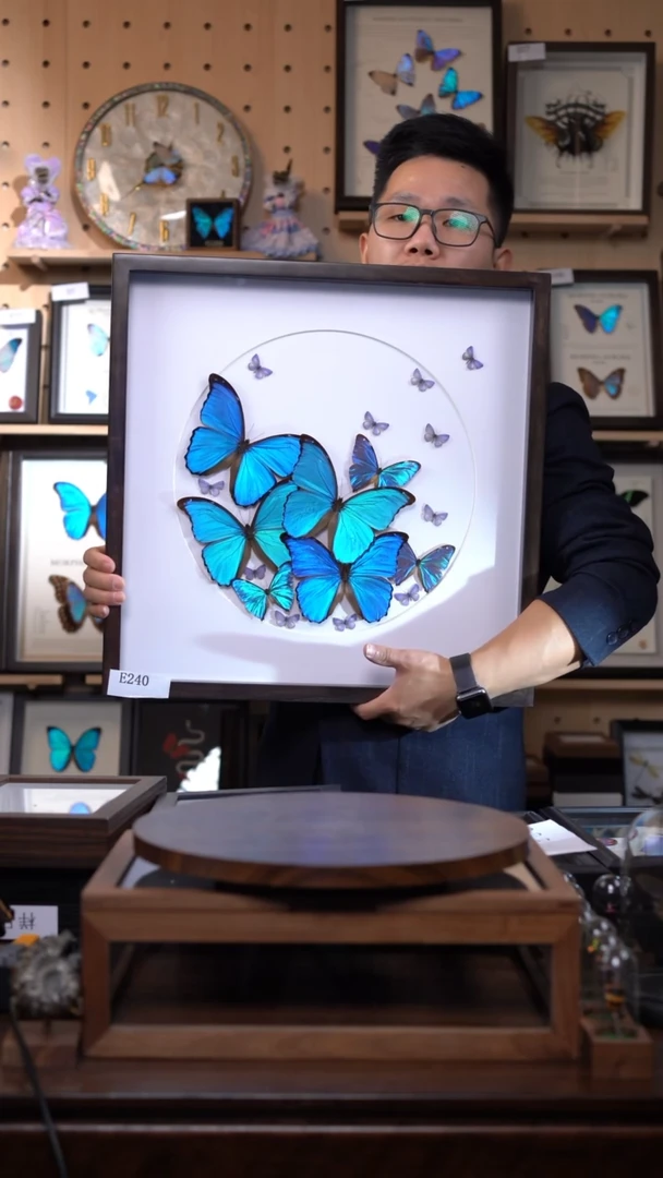 四大蓝闪+小蓝闪组合香樟木框