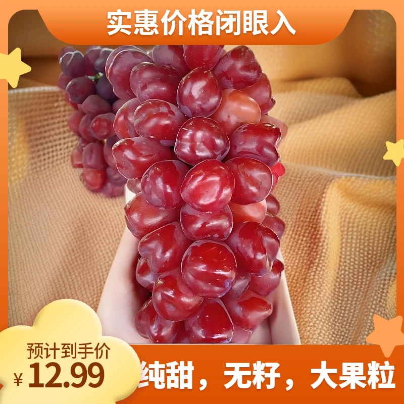 精品葡萄树/盆栽地栽均可