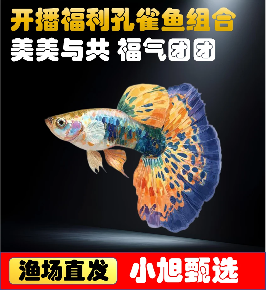 【全家福开播福利】8 条+送2条备损孔雀鱼5个品种公母搭配好活耐养