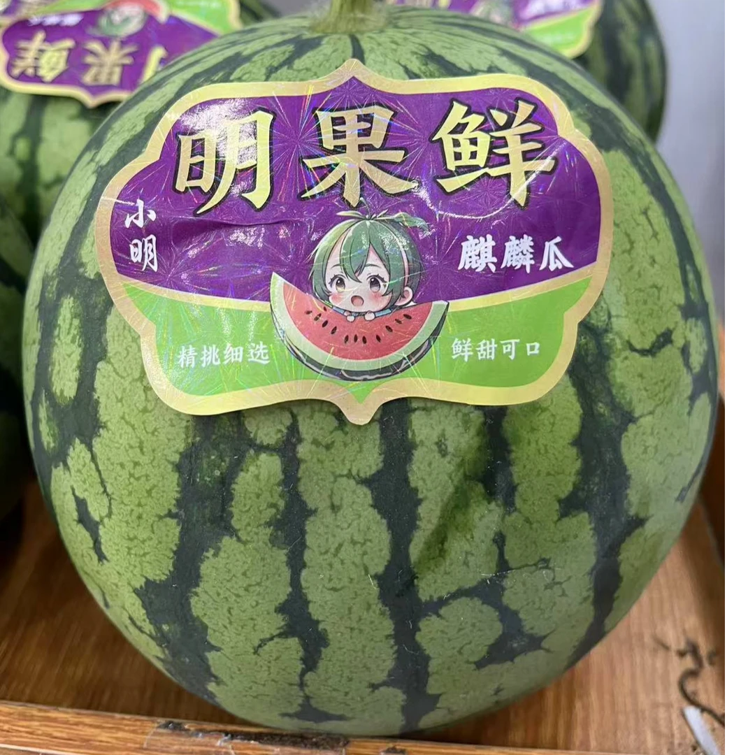 【整颗5-6斤】高端西瓜麒麟瓜5-6斤西瓜同城配广东省