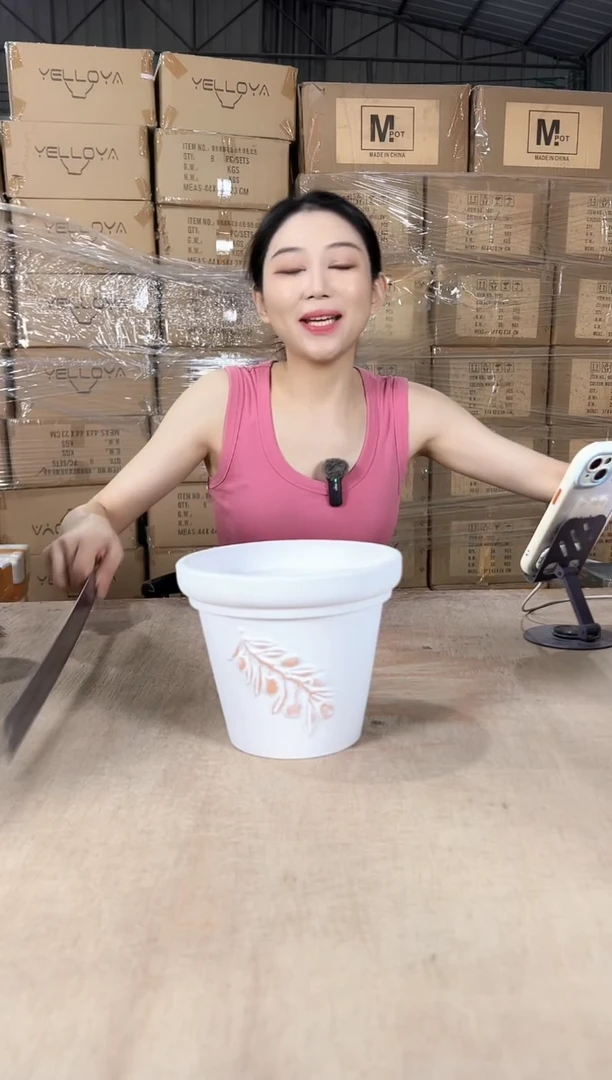 红陶浮雕白16x13