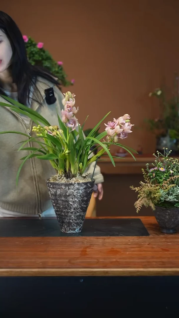 全部花朵小粉盆景盆景盆景