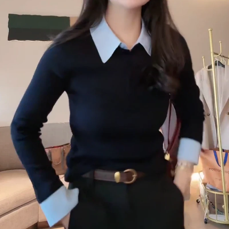 2025秋冬新款韩系时尚百搭撞色polo领针织衫LK2507876