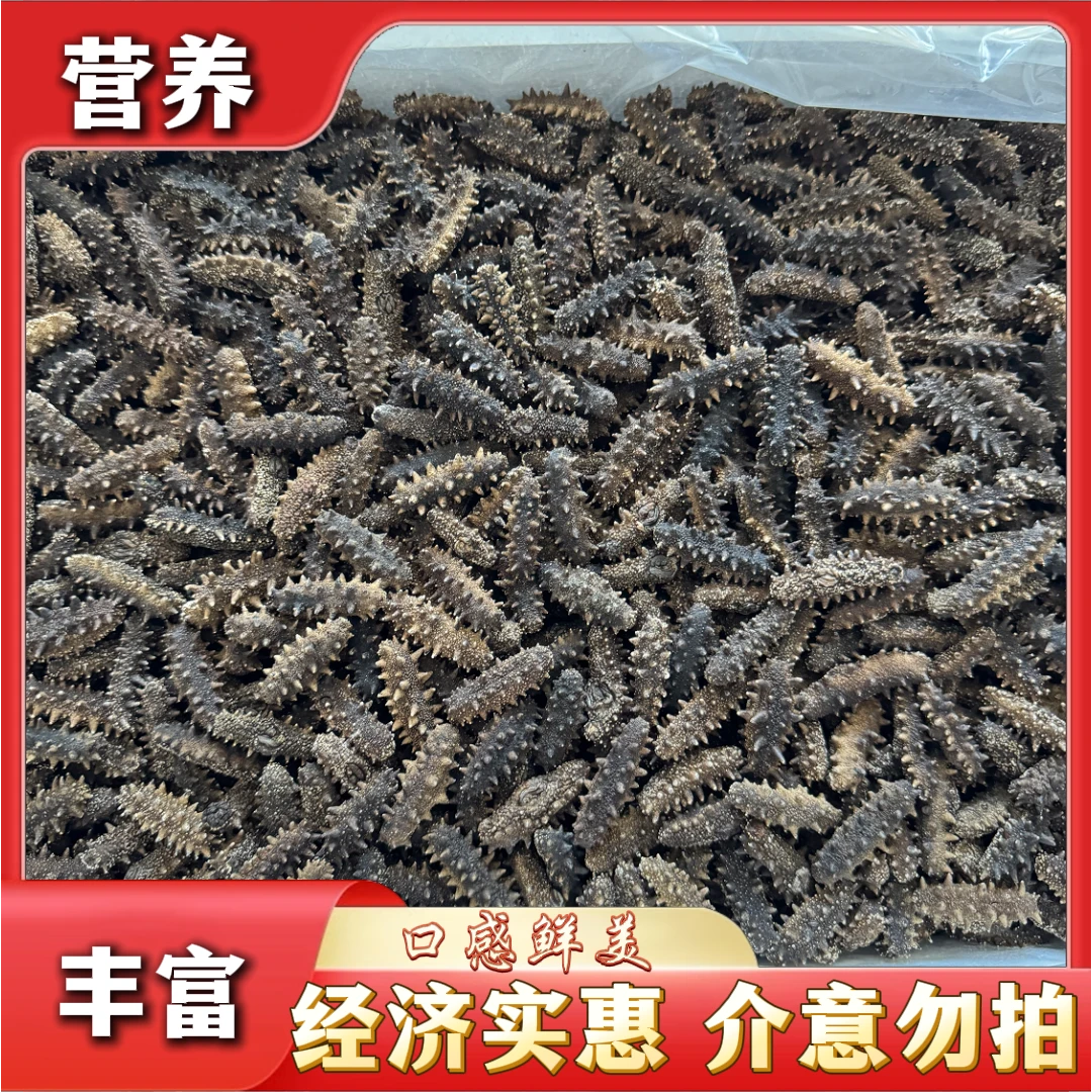 【口粮参】国标淡干海参正宗大连底播辽参160-200/斤 500g高货