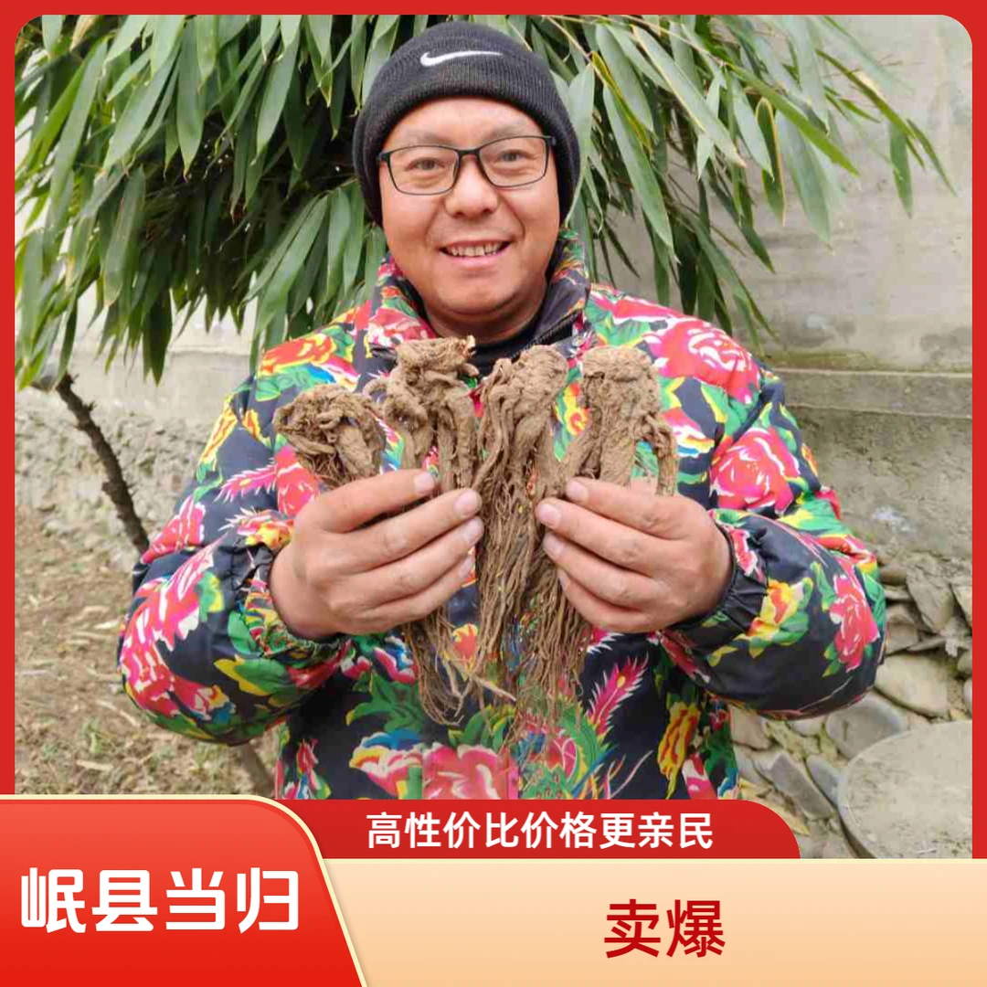 岷县特级当归原条无硫熏煲汤搭配黄芪党参包邮当归