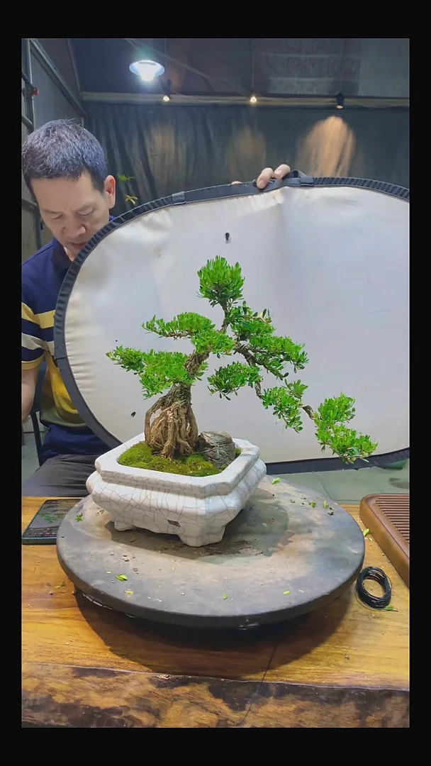 完全开放X*Y11111111111