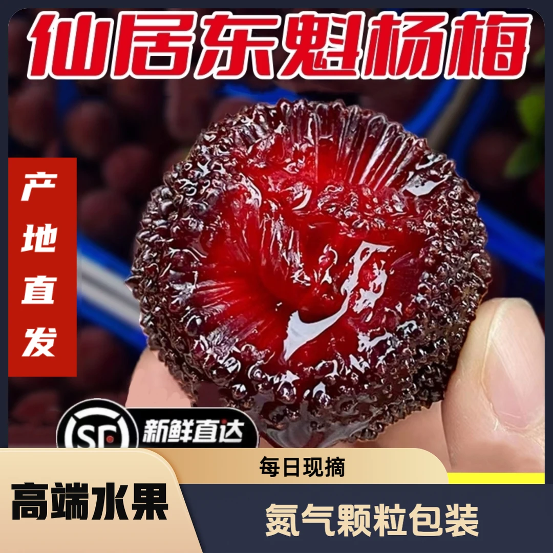 仙居东魁杨梅大果现采现发氮气颗粒包装新鲜水果