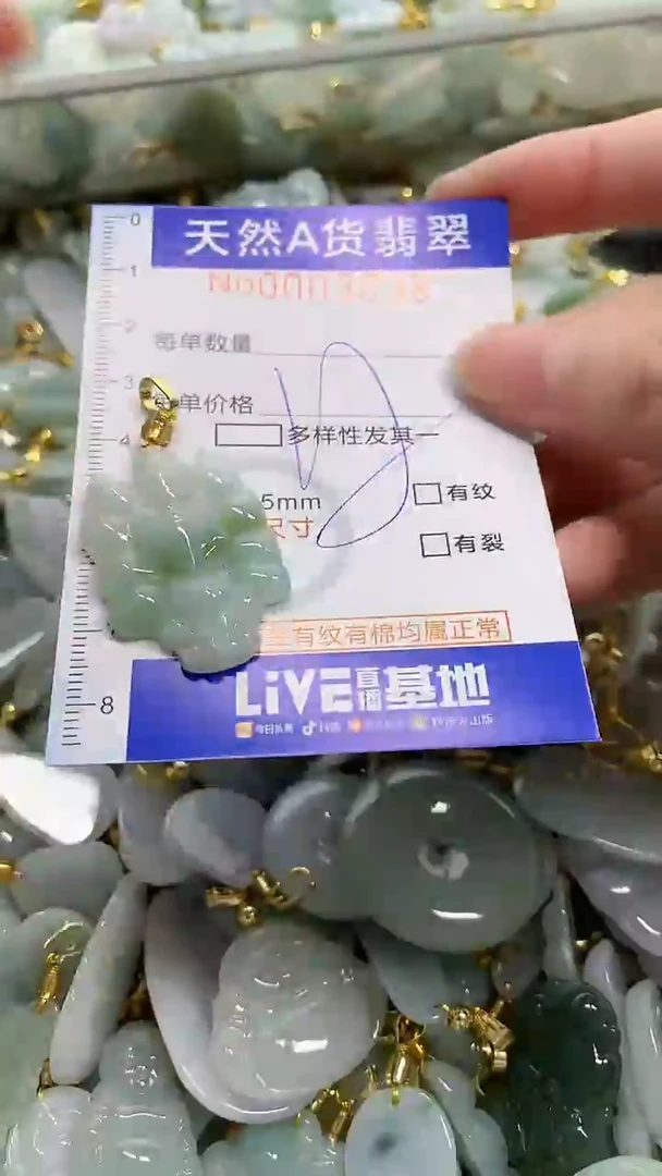 颈饰未镶嵌翡翠天然A货翡翠