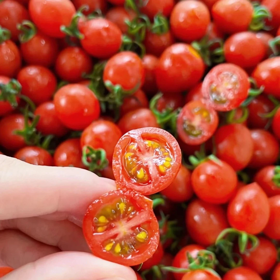 【次日达】广东电白爆汁小千禧 脆甜爆汁千禧番茄（礼盒装）净重2斤/箱千禧圣女果广东省