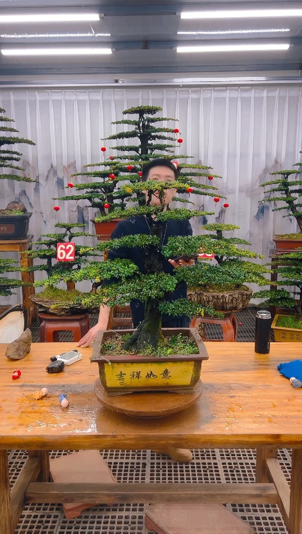 【闪购商品】紫砂精品盆景直播间一物一拍