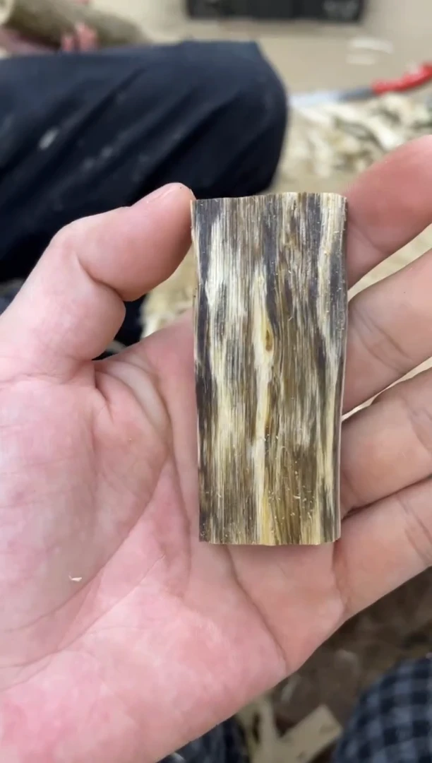 沉香沉香碎屑丝****蛋棋楠沉香 原料文创1