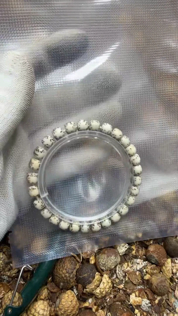 吊坠星月菩提饭****粥 饭特稀粥