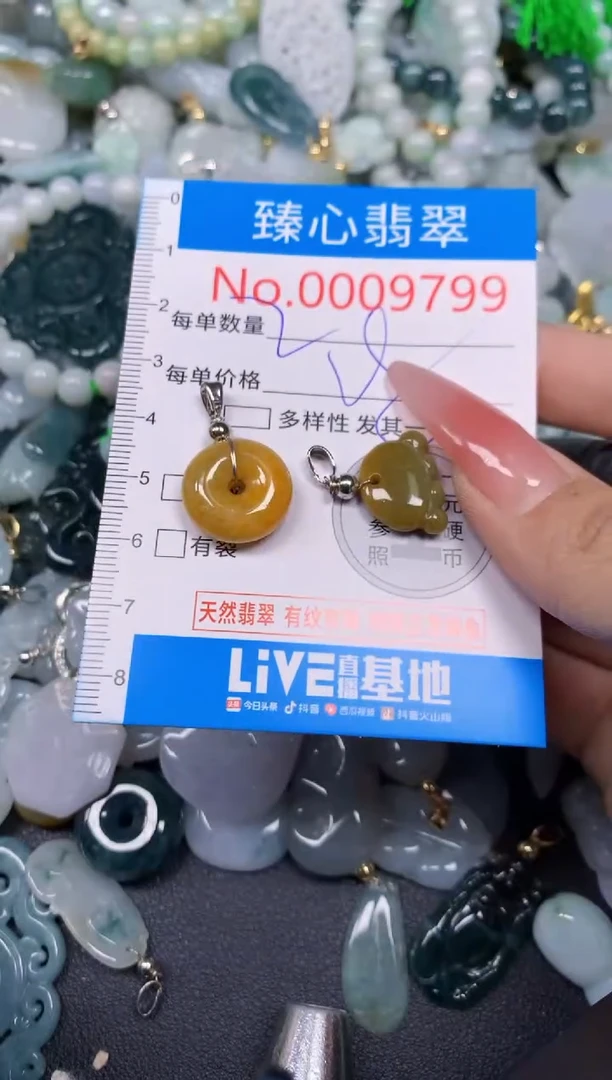 【闪购商品】翡翠颈饰未镶嵌含绳0009799