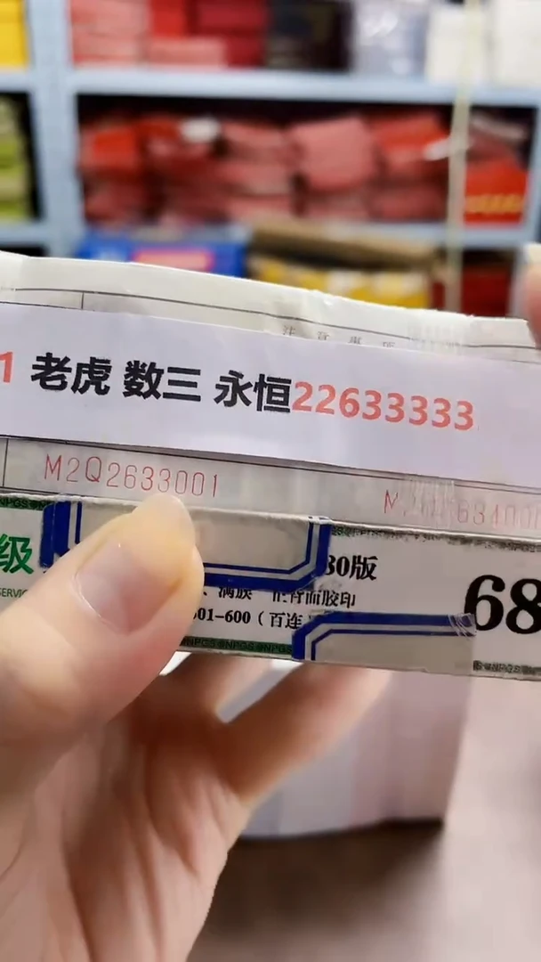 M  01 老虎 数三 永恒22633333