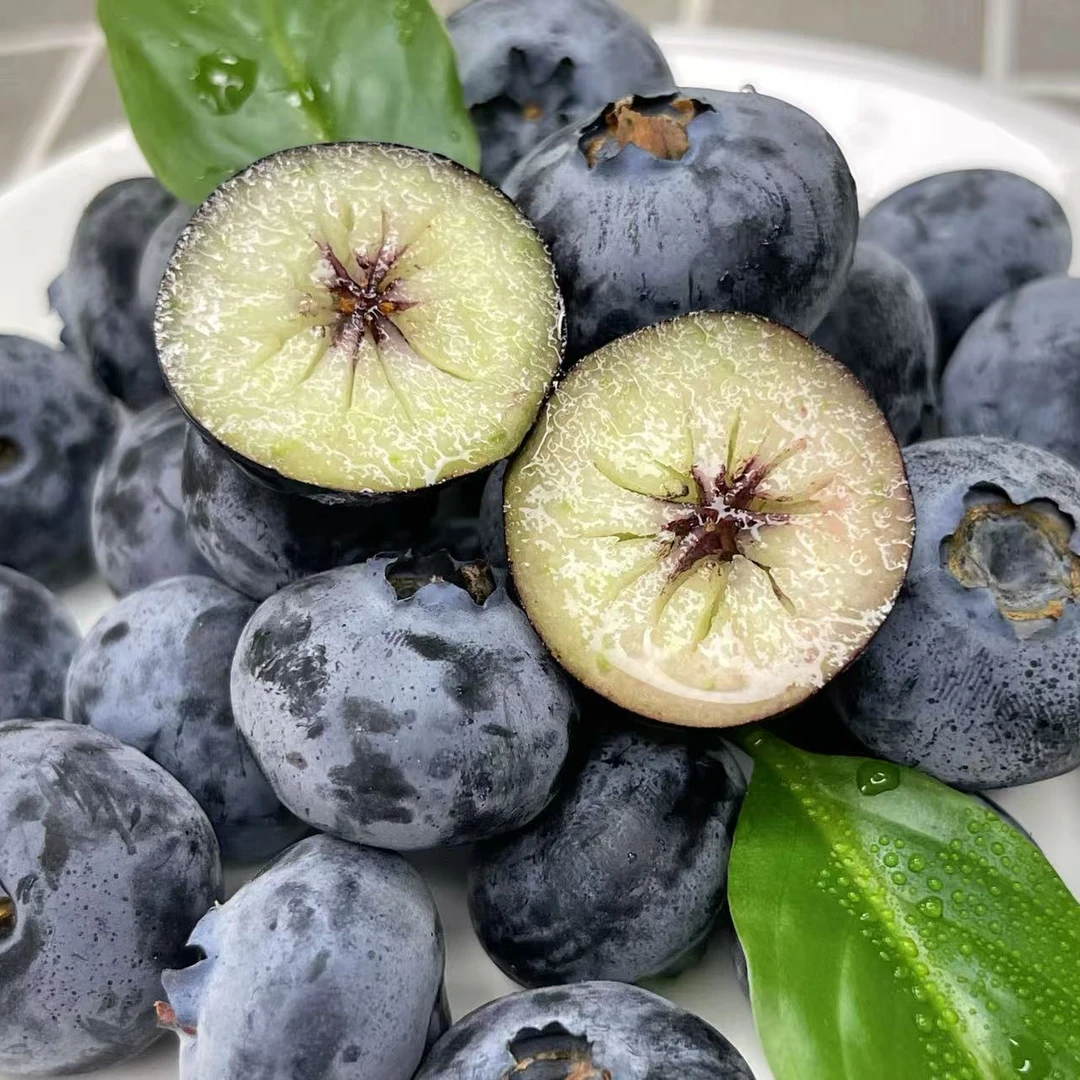 【直播浮力】18mm+大果高山云南蓝莓新鲜当季水果125g/盒 顺丰包邮
