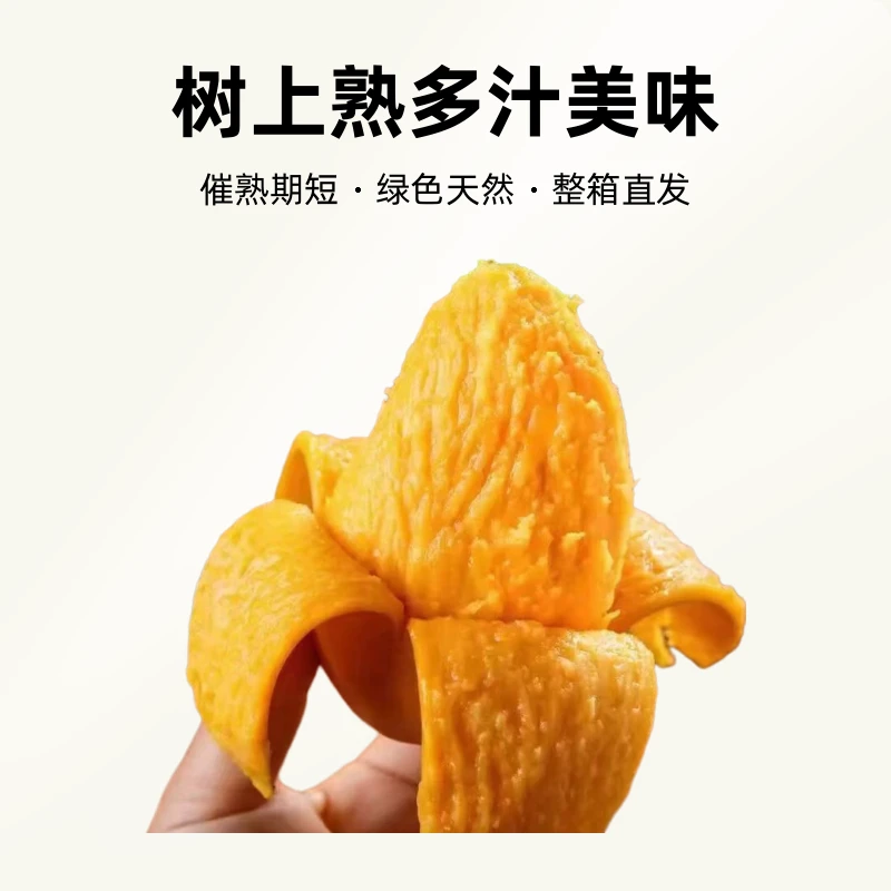 湛江覃斗芒果新鲜当季水果树上熟多汁美味整箱南方直发