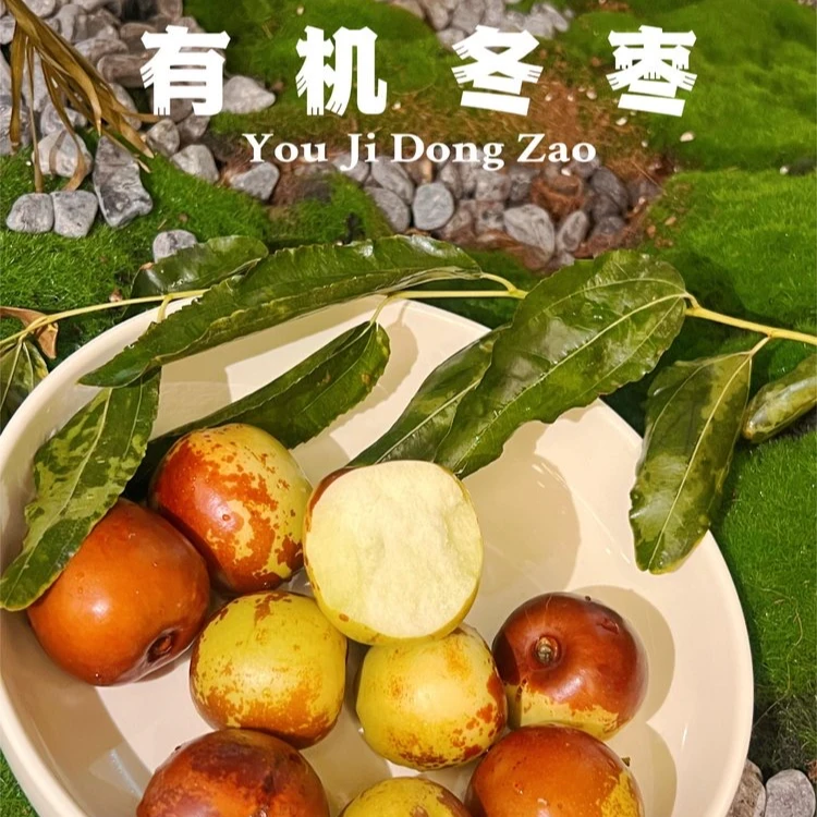 臻如意沙漠有机冬枣鲜脆香甜