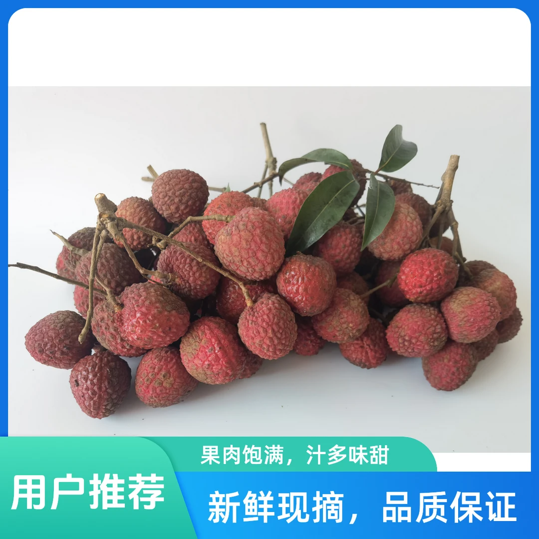 新鲜现摘正宗云霄产红灯笼荔枝当季水果多汁整箱发货