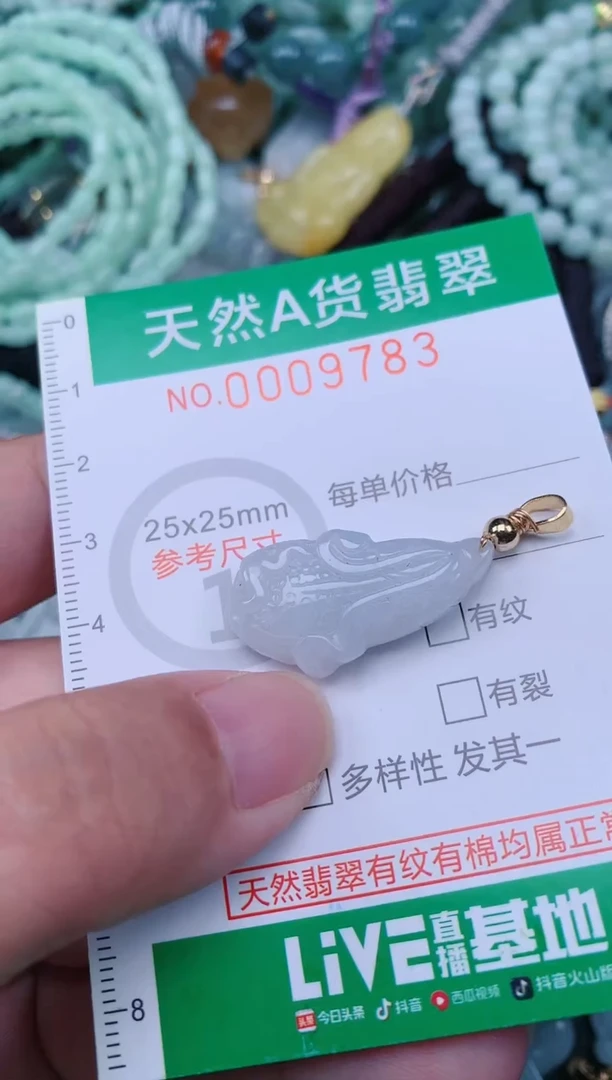 翡翠未镶嵌颈饰.0009783