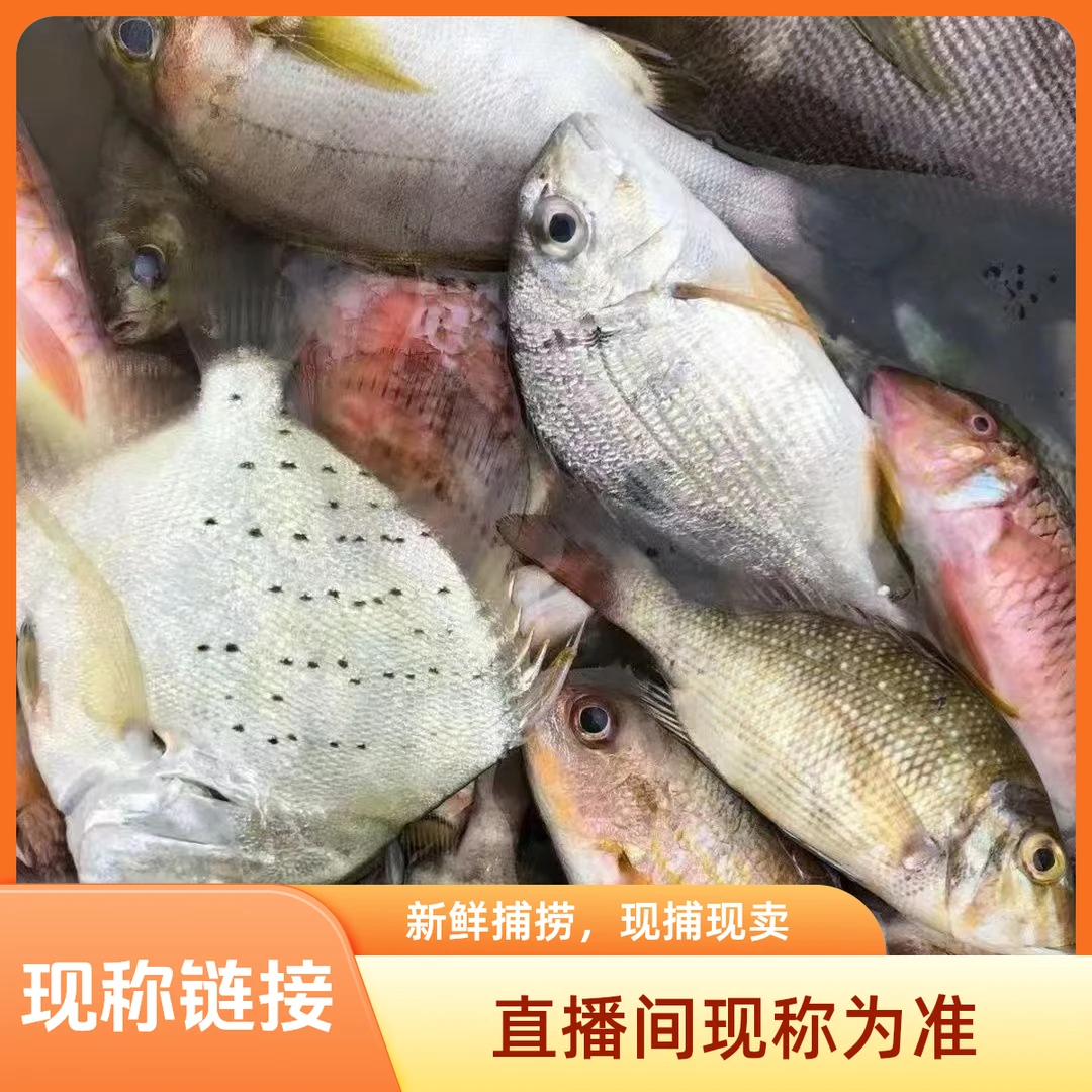 现称链接  直播现称鱼/虾/蟹等  顺丰包邮 今天发明天到