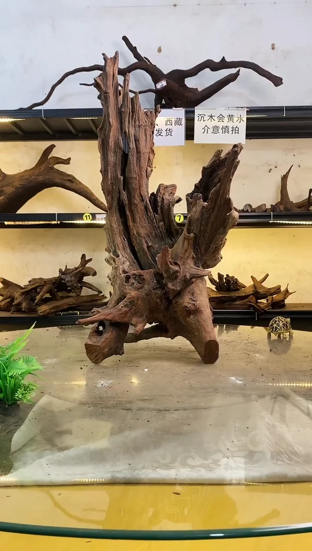 【闪购商品】柚木木艺027鱼缸造景沉木