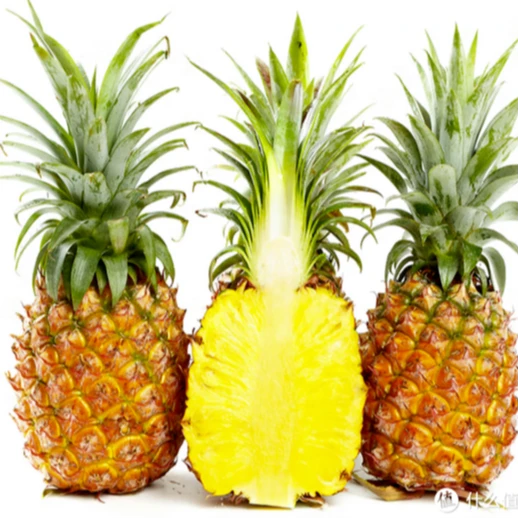 （福利款）海南金钻凤梨小果7.5-8斤（7-8个装）