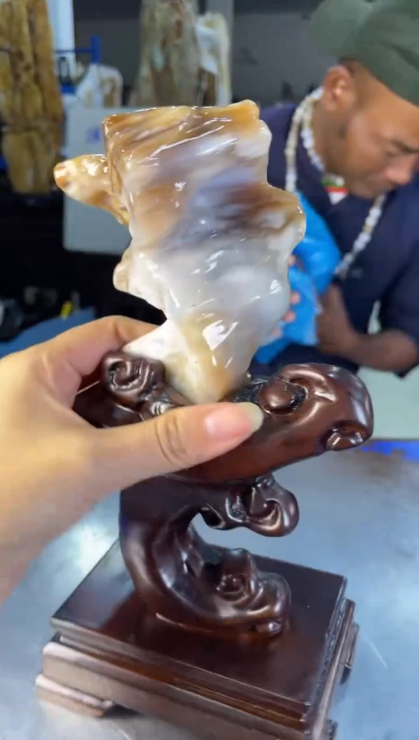 未镶嵌摆件硅化玉31