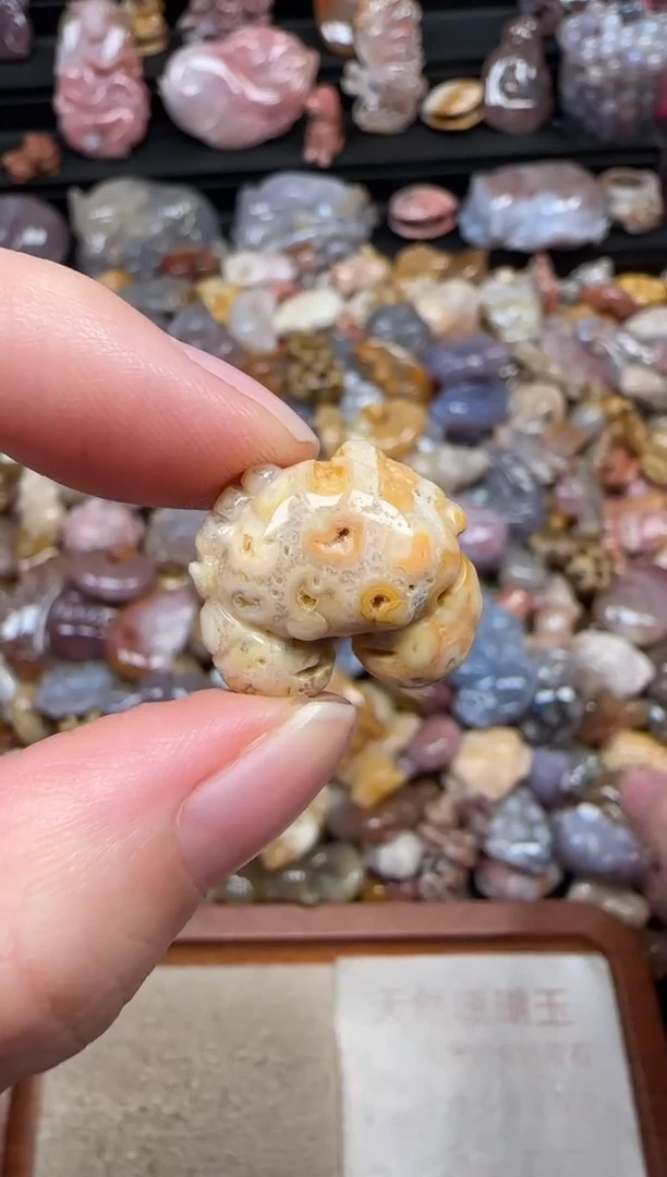 颈饰未镶嵌硅化珊瑚（珊瑚玉）301