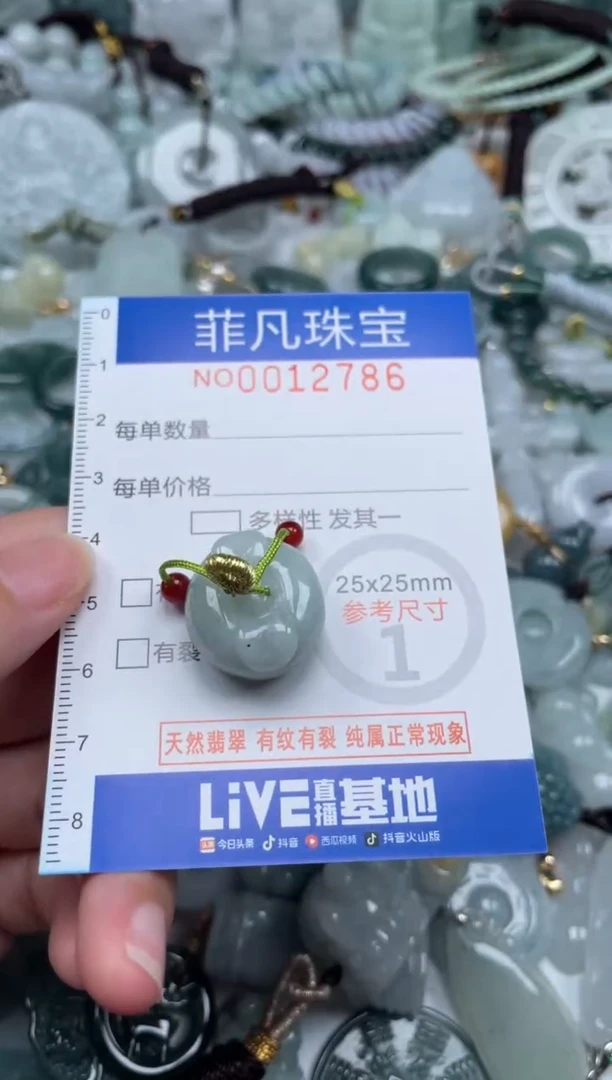 颈饰未镶嵌翡翠12786