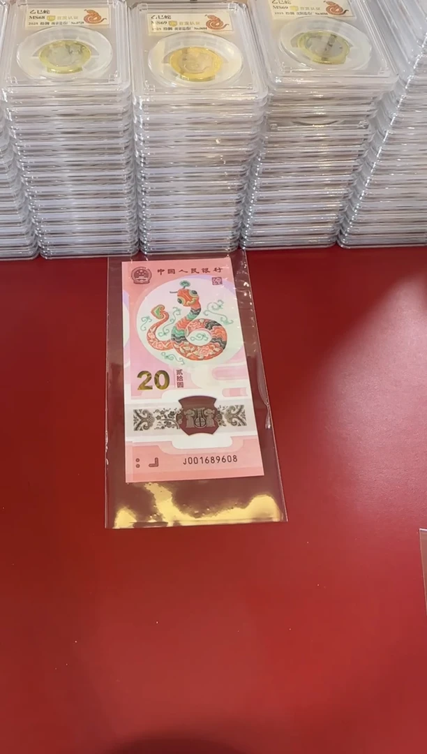 【闪购商品】塑料25蛇钞001689608单张裸