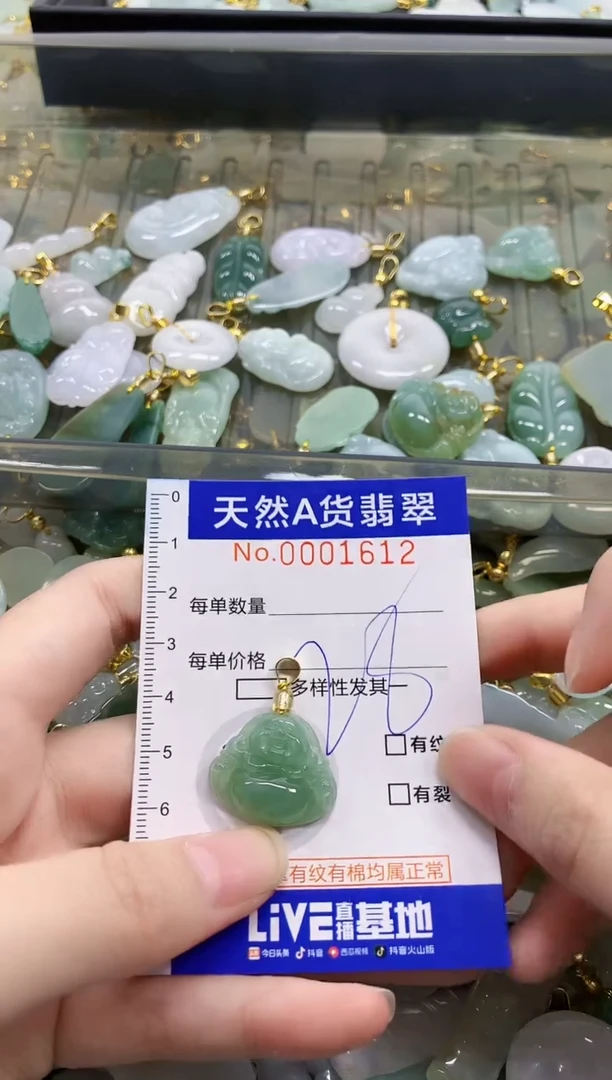 颈饰未镶嵌翡翠天然A货翡翠