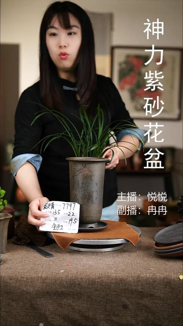 紫砂花盆紫砂花盆7797+z