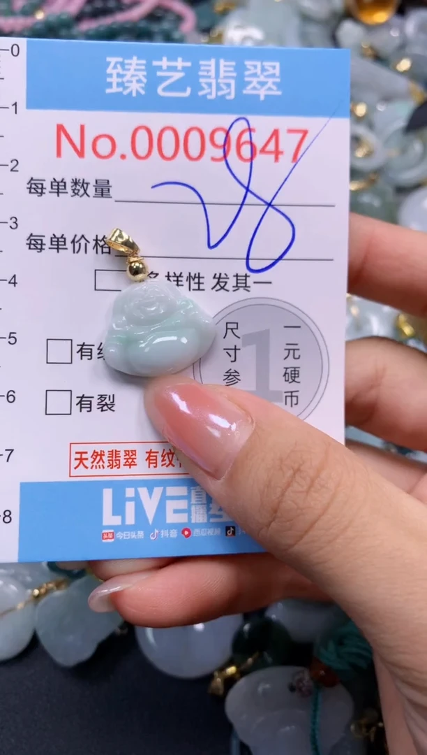 颈饰未镶嵌翡翠9647