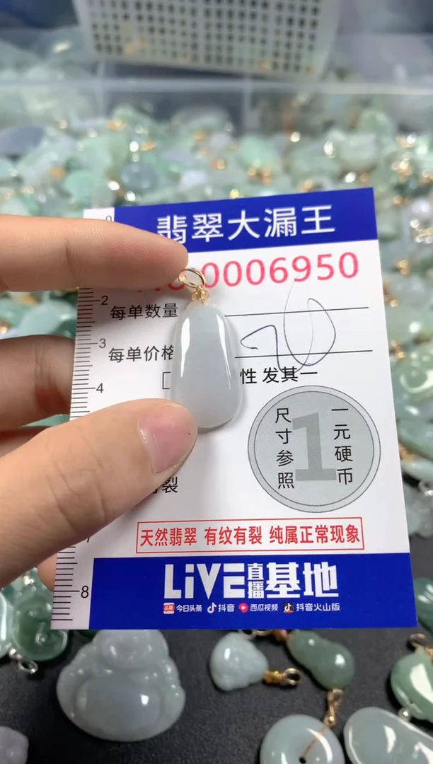 颈饰未镶嵌翡翠6950