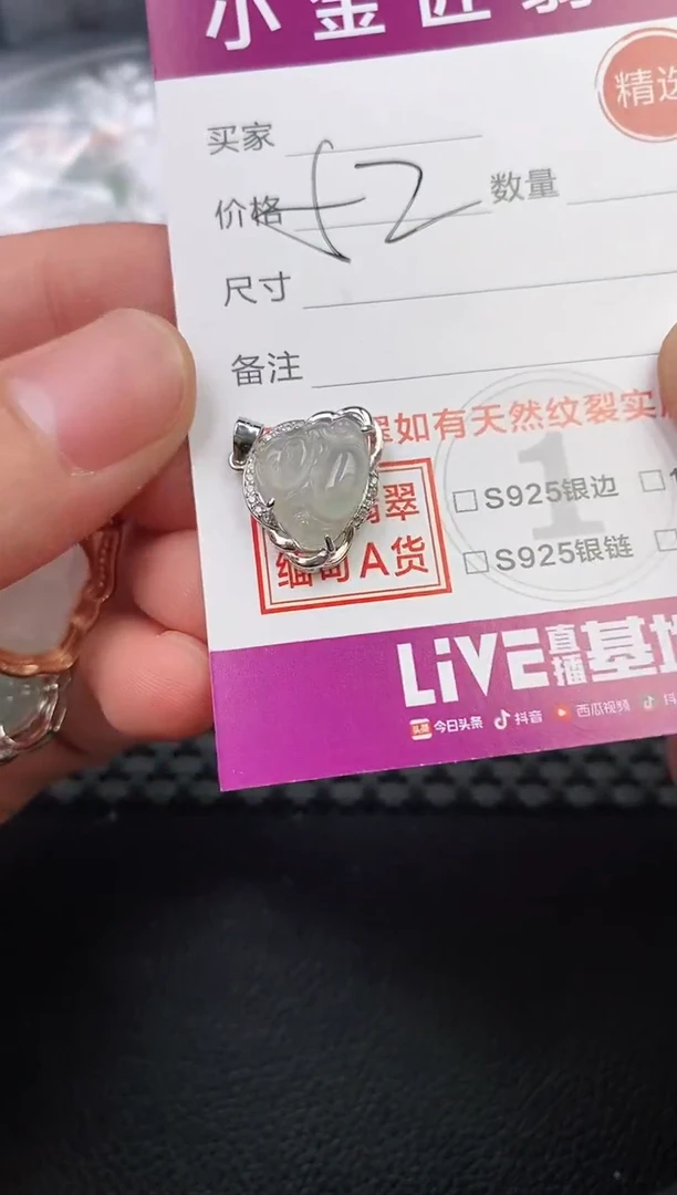 翡翠银S925镶嵌颈饰·