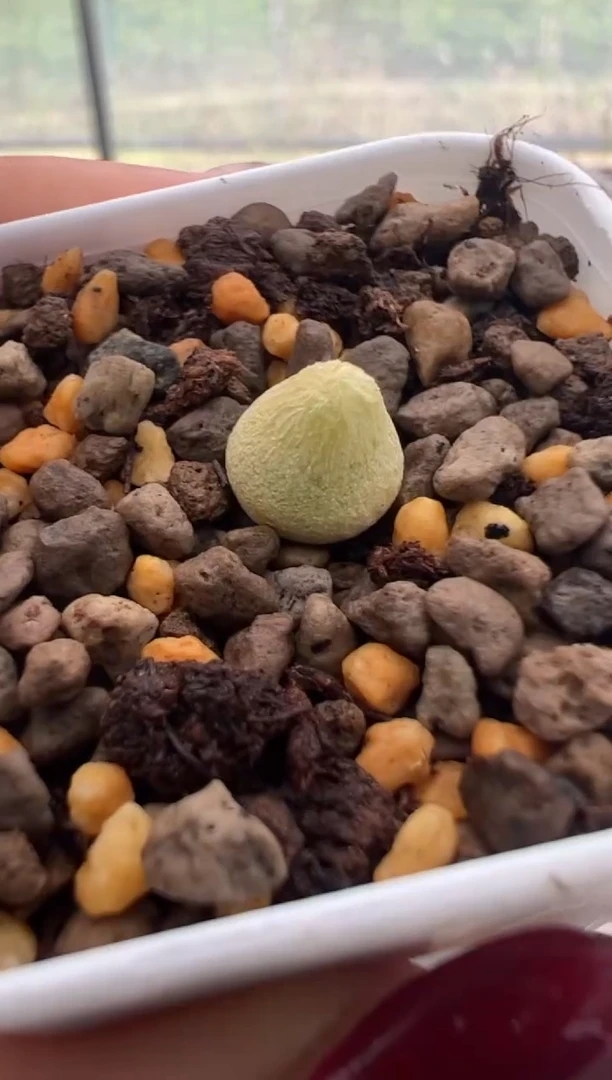 103.。。。。。。。。。。。。。