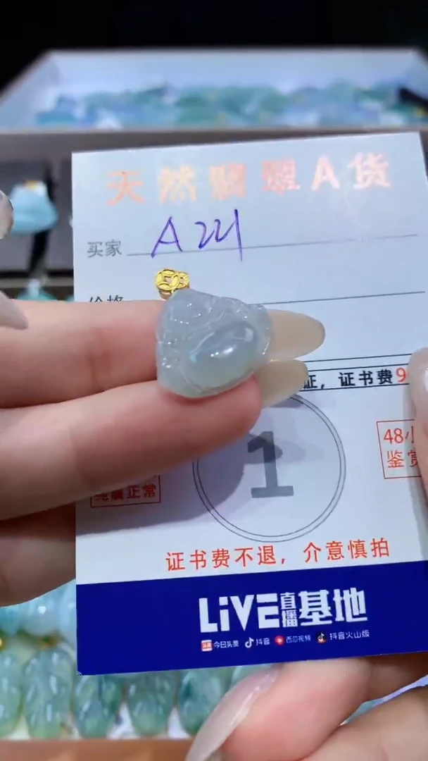 颈饰未镶嵌翡翠天然翡翠A货挂件