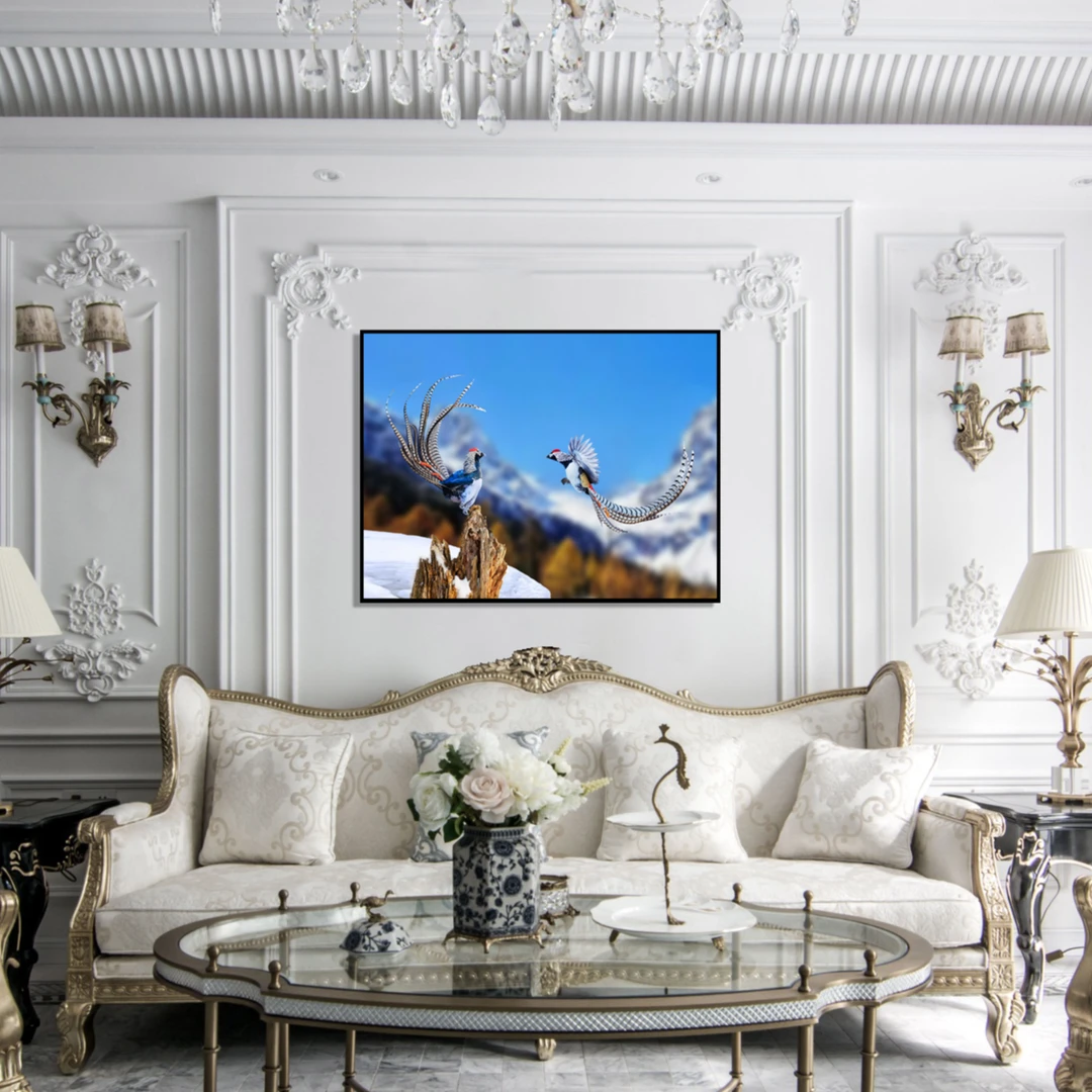 现代风家装鸟类装饰画鸟王推荐..白腹锦鸡 （金兰之友）