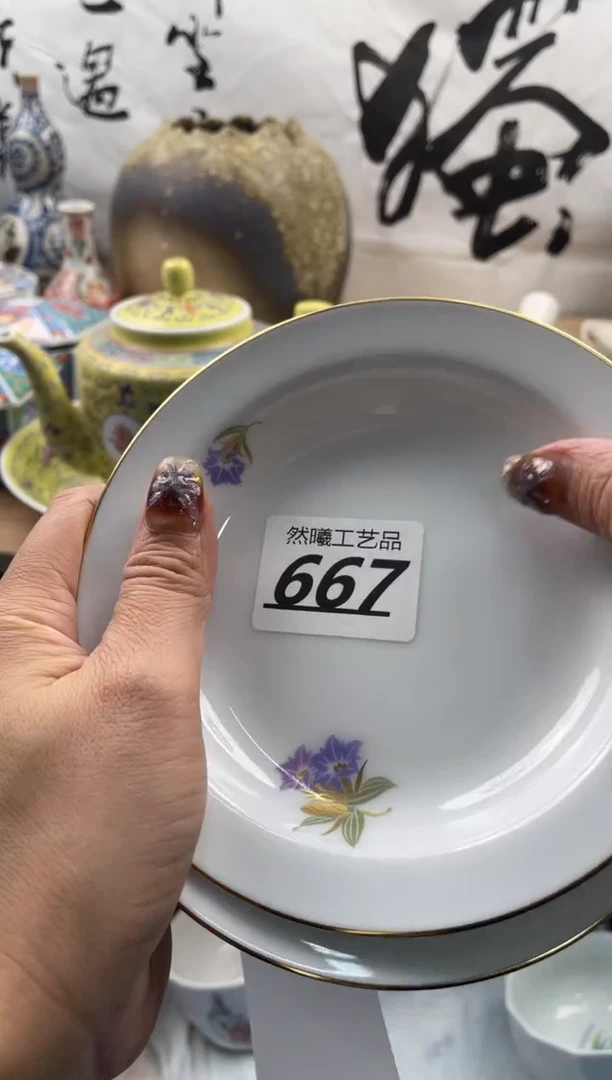 【闪购商品】瓷片667
