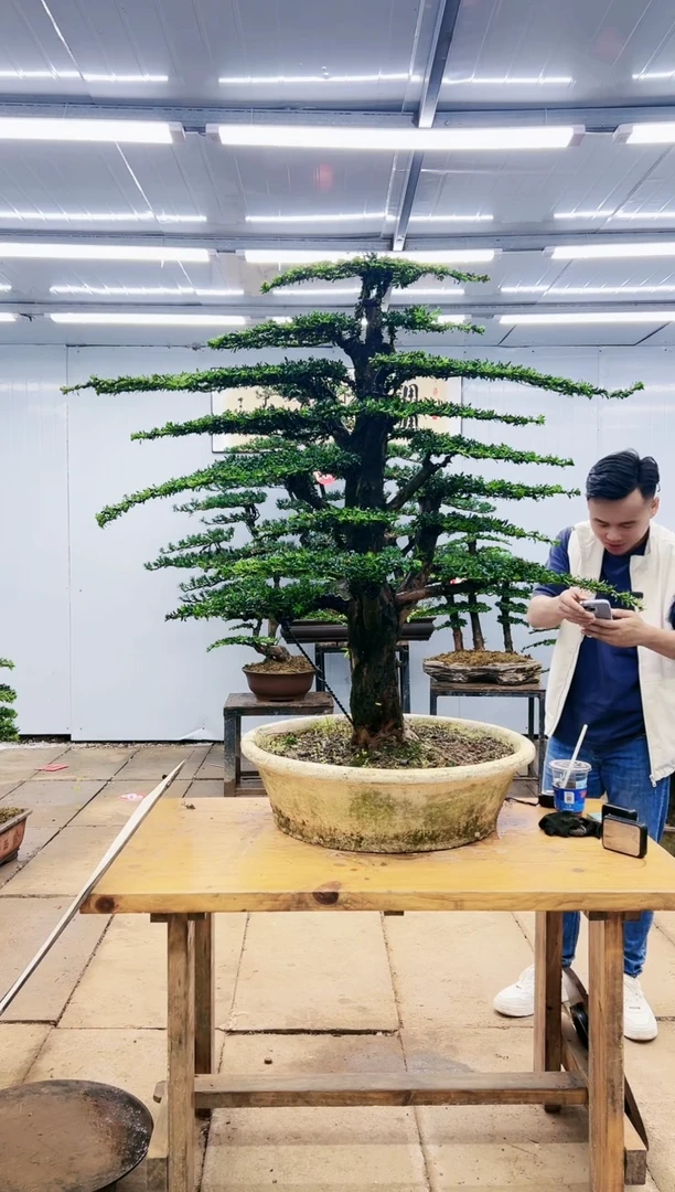 00000000000000000000