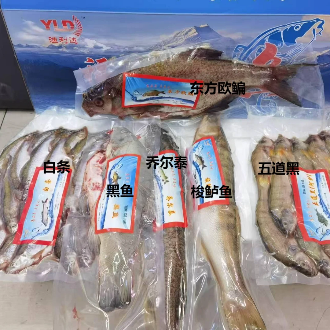 【如月臻选】福海冷水鱼礼盒装6种/5千克/盒